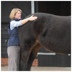 Anna Johnson & Associates Chartered Physiotherapists