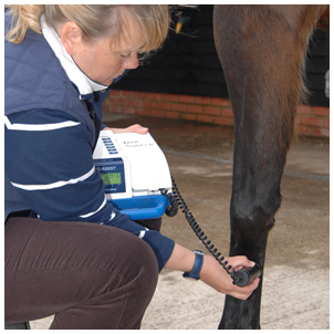 Anna Johnson & Associates Chartered Physiotherapists