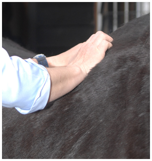 Anna Johnson & Associates Chartered Physiotherapists